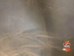 Кожа натуральная КРС Крейзи-Хорс темно-коричневая 1,3-1,5мм в разделе Галантерейная кожа интернет-каталога компании "МК Трейд-НН"